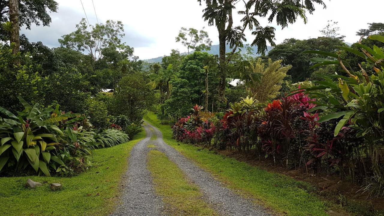 Hotel Brisas Arenal La Fortuna Bagian luar foto