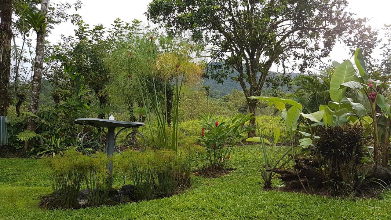 Hotel Brisas Arenal La Fortuna Bagian luar foto