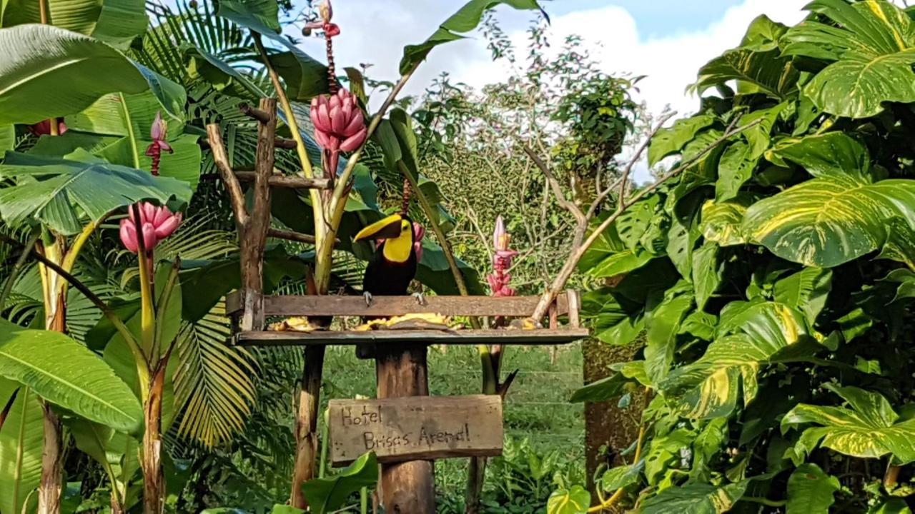 Hotel Brisas Arenal La Fortuna Bagian luar foto